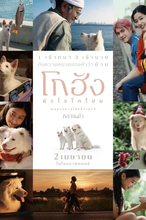โกฮัง..หัวใจโกโฮม Gohan 2026